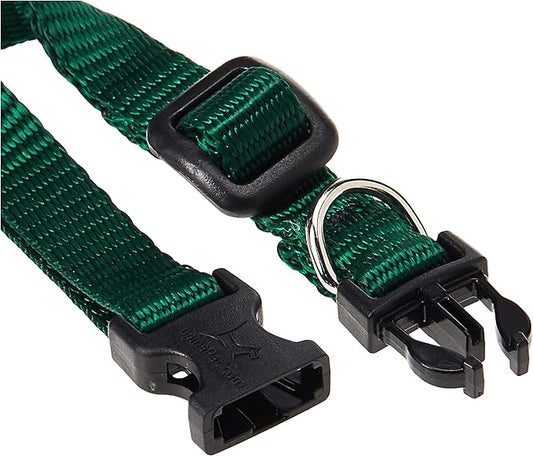 LupinePet Basics 1/2" Green 8-12" Adjustable Collar for Small Dogs