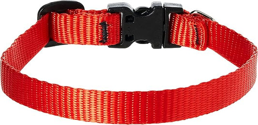 LupinePet Basics 1/2" Red 8-12" Adjustable Collar for Small Dogs