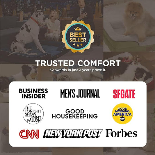 Bedsure Orthopedic Dog Bed for Medium Dogs - Waterproof Dog Sofa Beds Medium, Supportive Foam Pet Couch Bed with Removable Washable Cover, Waterproof Lining and Nonskid Bottom, Light Grey