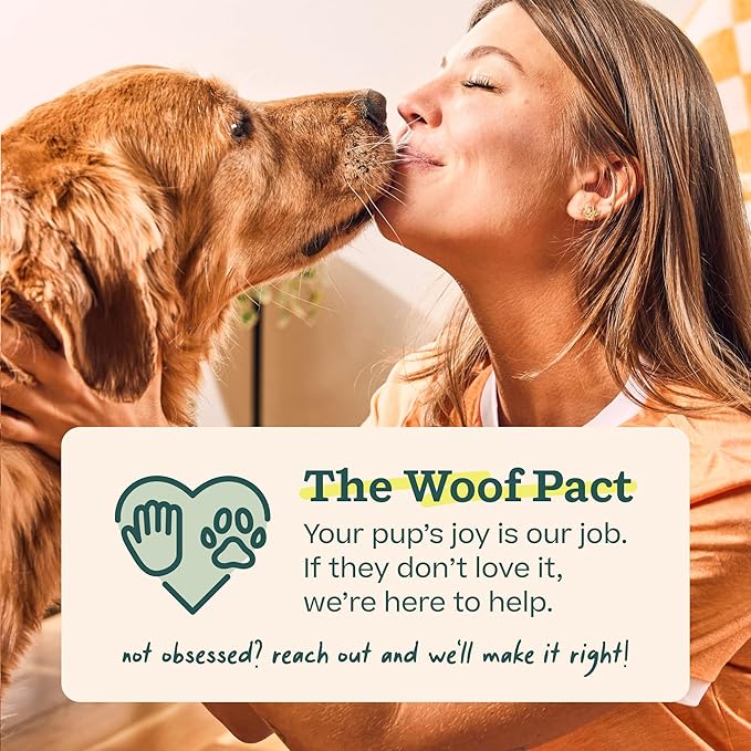 WOOF Pupsicle Refill Pops, Delicious Long Lasting Dog Treats, Pre-Made Pupsicle Refills for Dogs, Wholesome Ingredients, Low-Mess Chicken Pet Treats - Large Pops - 7 Count - 2 Pack