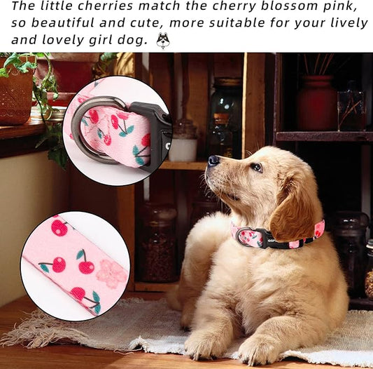 QQPETS Adjustable Soft Dog Collar: Print Flower Pink Multicolor Cute Patterns for XS Small Medium Large Pet Girl Boy Puppy Walking Running Training (XS, Sakura Pink)
