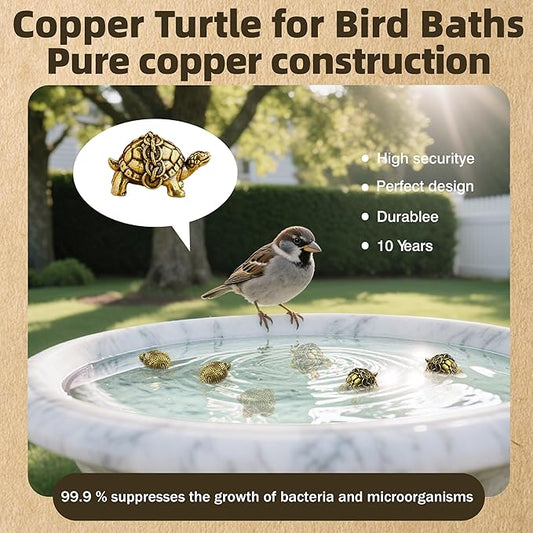 6 Pcs Copper Bath Disks Ornaments Mini Turtle Shape, Retro Copper Birdbath Purification Cleaner, Fit for Outdoor Birdbaths, Bowls