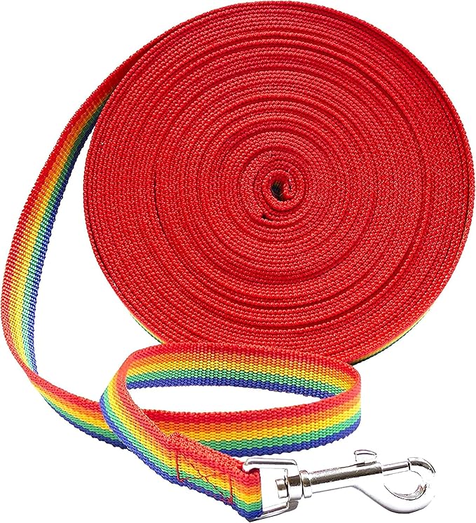 Downtown Pet Supply - Long Rainbow Dog Leash - 20 ft Nylon Training Leash for Recall & Obedience