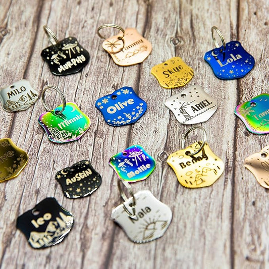 Personalized Dog Tag with 5 Lines of Custom Deep Engraved Durable Stainless Steel Pet ID Name Tag Designer Small Size Badge