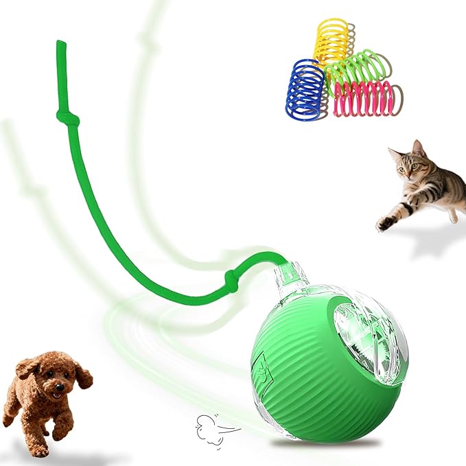 Dog Toys