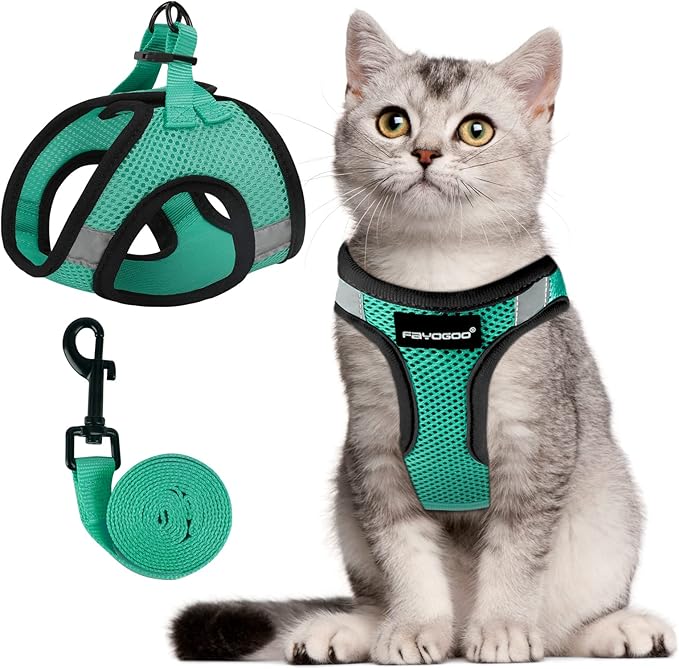 Collars