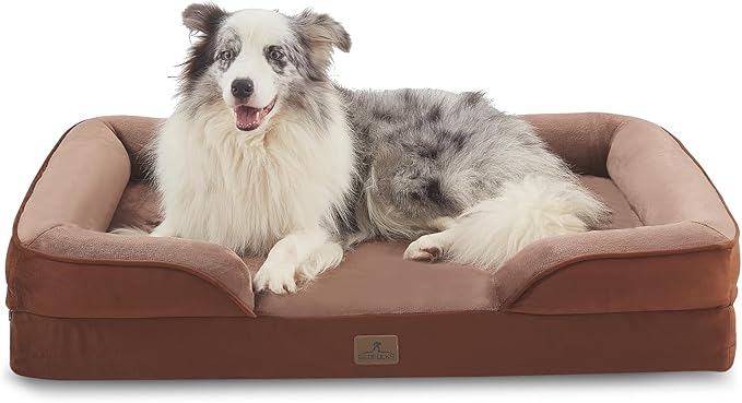Dog Beds & Furniture