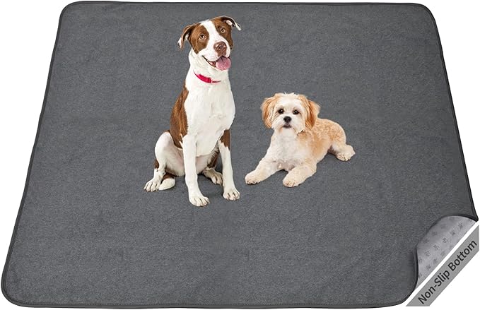Pet Litter & Housebreaking