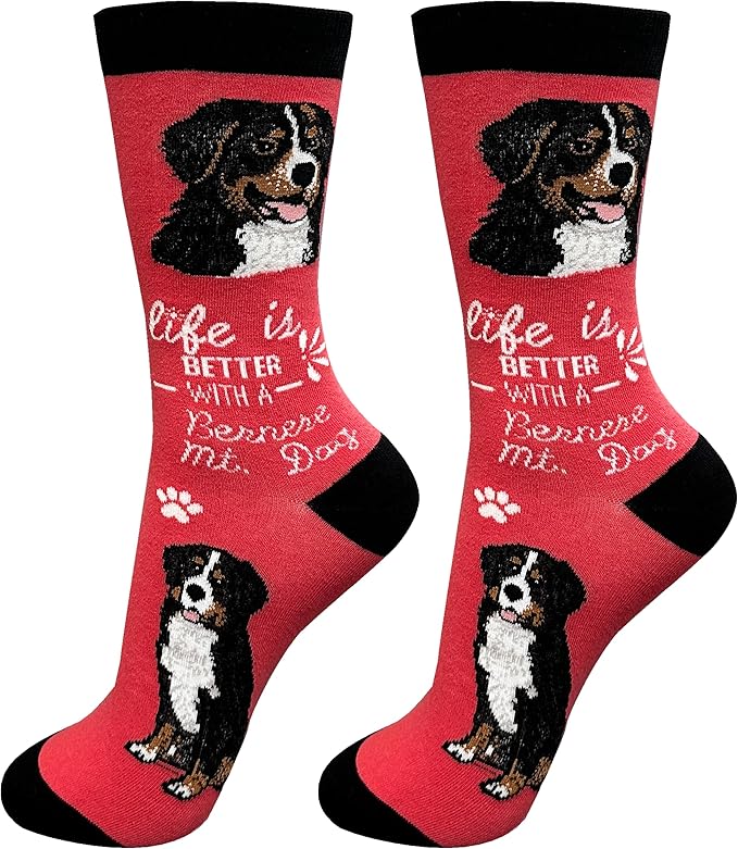 Novelty Dog Accessories & More