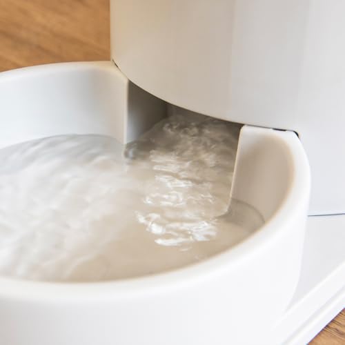Automatic Pet Water Dispenser with 3.8 Liter Capacity, Gray