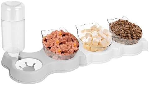 Yummy Sam 15° Tilted 4 in 1 Raised Four Cat Dishes for Food and Water