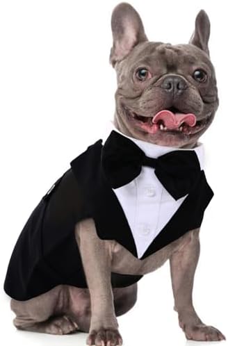 Dog Tuxedo for Medium Dogs, Dog Suit and Bandana Set, Dog Costume Outfit by DoraBridal