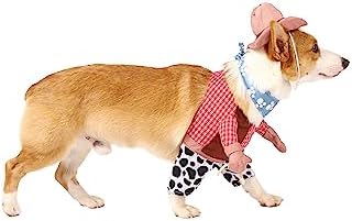 Spooktacular Creations Halloween Pet Dog Cowboy with Cowboy Hat, Bandana for Dress-up Parties, Role-Playing, Outdoor Activity (X-Large) - Image 4