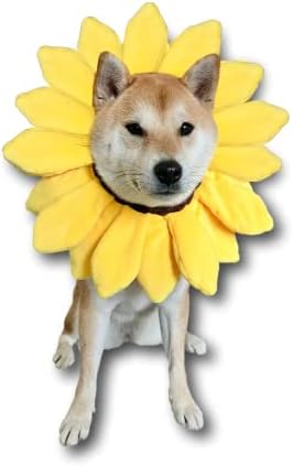 ComfyCamper Sunflower Dog Costume for Small Medium Large Dog Puppy Puppies Cat Kitten – Cute Head Flower Headband Outfits – Collar Cone Costume Hat Sombrero Outfit Pet Cosplay Halloween (Large) by ComfyCamper