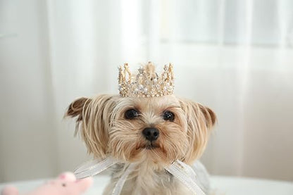 Lovelyshop Pearl Rhinestone Pet Crown for Dogs & Cats, Gold, XS - Image 2