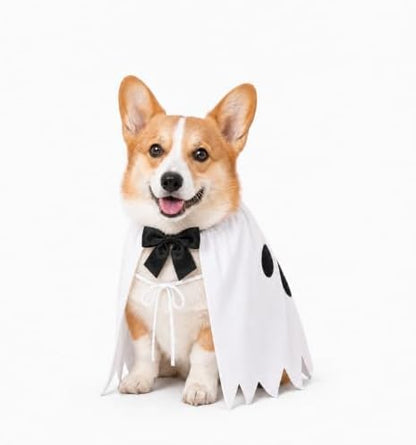 Halloween Ghost Dog Costume, Halloween Funny Outfit for Small Medium Large Pets(M) by Unknown