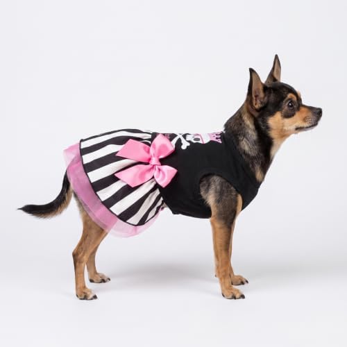 Fitwarm Pirate Princess Dog Tulle Dress, Spooky Halloween Costumes for Small Girl Dogs, Sweet Pet Outfit, Black, White, XS - Image 5