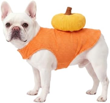 CuteBone Pumpkin Dog Halloween Costume Sleeveless Vest with 3D Pumpkin Decor Soft Corduroy Outfit Easy Velcro Closure Fall Party Clothes for Small Medium Dogs GBZ09M by CuteBone