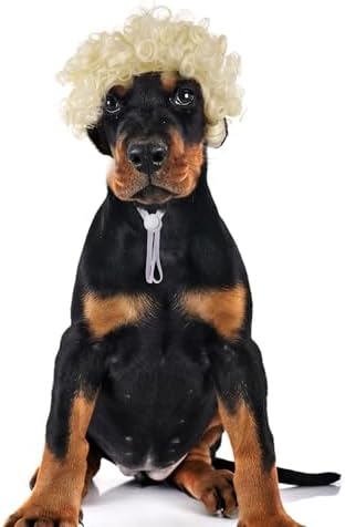 Funny Pets Wigs for Dog, Blonde Curly Adjustable Pet Wig for Dogs, Halloween Pet Costume Accessories for Christmas, Parties, Festivals Cosplay, Gold, Fits 12-24 Inches Head Circumference - Image 7