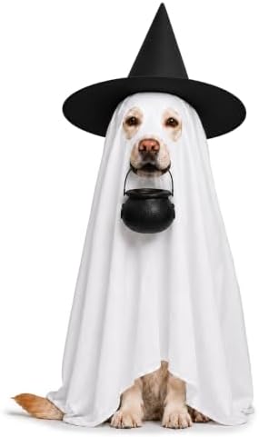 Halloween Dog Ghost Costume Pet Ghost Cape Hat Witch Candy Pot for L XL - Image 2
