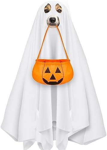 Sadnyy 2 Pcs Dog Ghost Costume Halloween with Pumpkin Bucket Large Pets by Sadnyy
