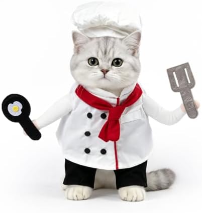 DELIFUR Cat Chef Costume with Hat Cute Halloween Costume (Chef, X-Small) by DELIFUR