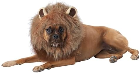 California Costumes, King of the Jungle - Lion, Dog Costume Small - Image 2
