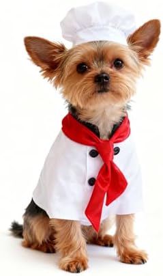 Dog Halloween Costumes Dog Chef Costume Halloween Pet Chef Costumes with Chef Hat Clothes Scarf for Halloween Pet Party Cosplay by Unknown