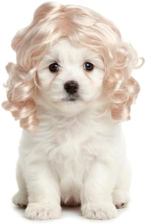 Blonde Wig for Dogs,Halloween Christmas Long Blonde Curly Hair by Unknown
