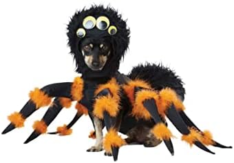 California Costumes Spider Pup Costume Medium - Image 5