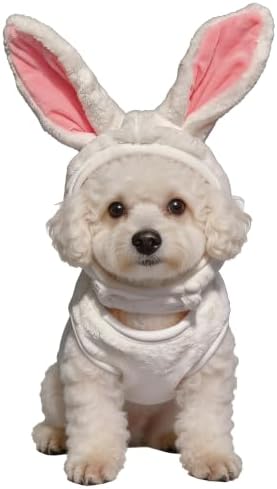 Pet Costume for Small Dogs Cats Halloween Hoodies Puppy Coat by Unknown