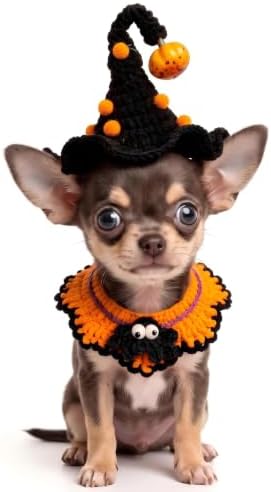 Halloween Pet Costume, Spider & Black Witch Hat for Cats and Small Sized Dogs, Hand-Knit Festive Halloween-Themed Cat Apparel, Dog Halloween Costumes, Cat Witch Costume by MITOCAPY