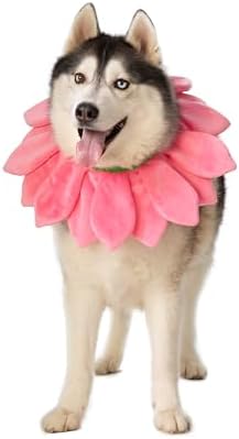 ComfyCamper Dog Pink Flower Neckpiece Costume - XS Small Medium XL XXL Bee Daisy Cosplay Halloween Costumes, XL - Image 2