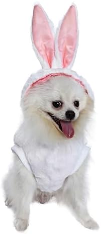 Yoption Dog Cat Bunny Costume for Halloween, Easter, Christmas, X-Large - Image 5