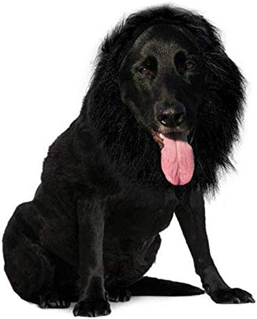 Funny Dog Costume, Lion Mane Wig for Dog Halloween Christmas Dress Up (Color: Black, Size: Large) by QIAONIUNIU