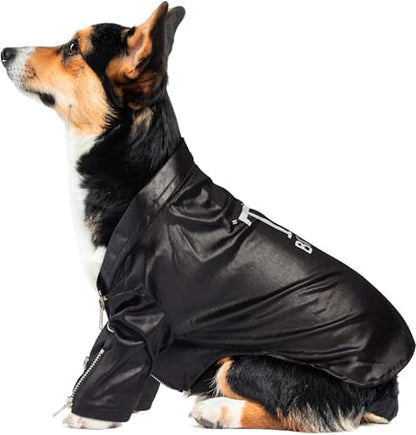 Rubies at Party City Grease: T-Birds Pet Costume for for Dogs or Cats, Large - Image 4