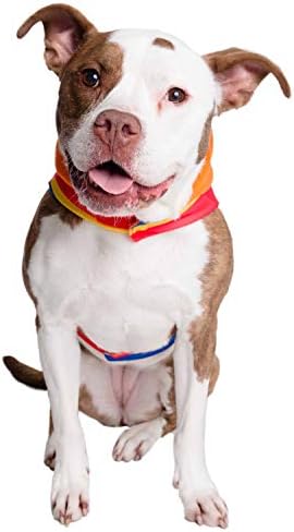 Pet Krewe X-Large Ernie Costume - Sesame Street Ernie Dog Costume - Fits Small, Medium, Large and Extra Large Pets - Perfect for Halloween, Christmas Holiday, Parties, Photoshoots, Gifts - Image 4