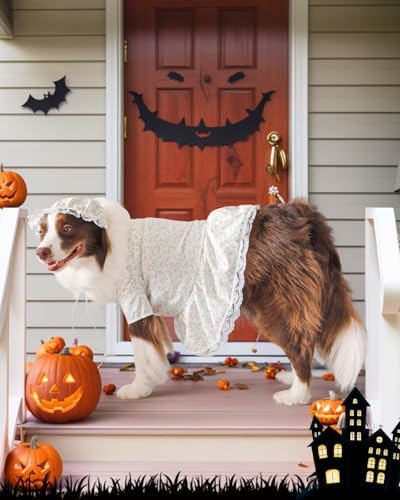 4P Funny Granny Wolf Dog Costume – Halloween Old Lady Costume for Dog for Medium and Large Dogs – Includes Floral Dress, Cap, Glasses & Eye – Classic Story-Themed Cosplay - Image 5