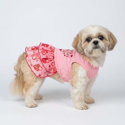 Fitwarm Happy Valentine's Day Dog Dress, Elegant Valentines Outfit for Small Dogs Girl, Festive Pet Clothes, Pink, Red, Large - Image 7