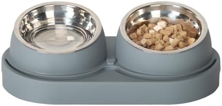 SAROSORA Cat Feeder Stainless Steel Bowl, Pet Food and Water Bowl Dishes, Easy to Clean