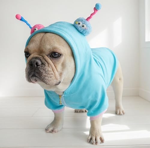 Funny Halloween Dog Costume French Bulldog Sweater - Image 2