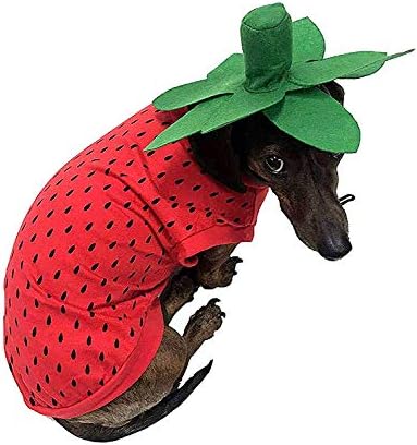 Midlee Strawberry Dog Costume (XX-Large) by MidleeDesigns