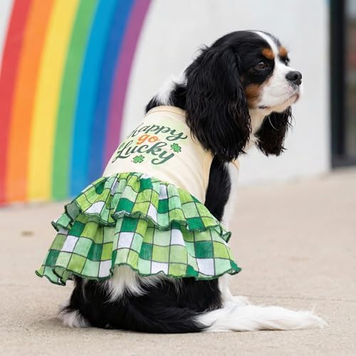 Fitwarm Happy Go Lucky Dog Dress, St Patricks Day Dog Clothes for Small Dogs Girl, Funny Pet Outfit, Green, Light Yellow, XS - Image 2