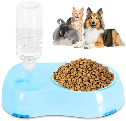 Slow Feeder Bowl, Elevated, Double Transparent for Cats, Small Dogs, Pet Automatic Water Feeder with Water Bottle