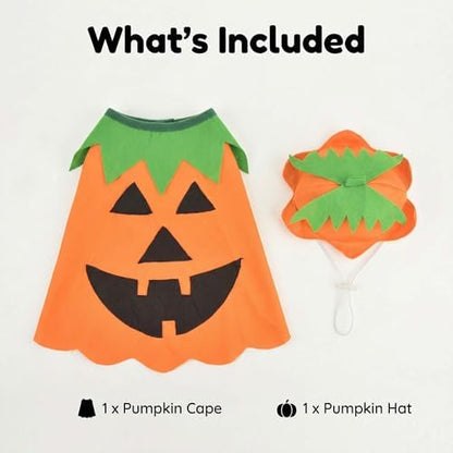 FLAdorepet Halloween Matching Dog and Owner Clothes Pumpkin Costume,XL - Image 7
