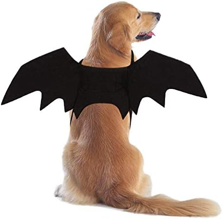 Rypet Dog Bat Wings Costume M, Dog Bat Costume for Halloween Cosplay Party by RYPET