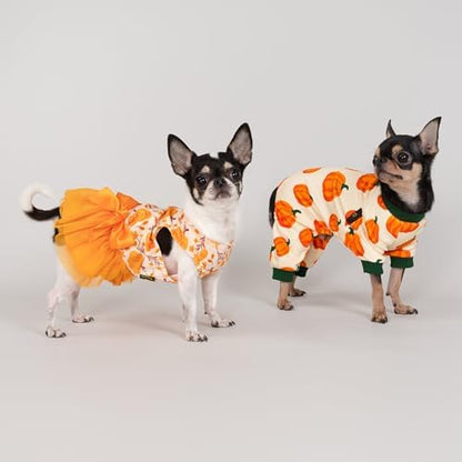 Fitwarm Pumpkin Dog Pajamas, Thanksgiving Outfit for Small Dogs Boy Girl, Fall Pet Clothes, Beige, Orange, Green, XS - Image 4