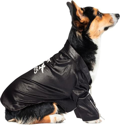 Rubies at Party City Grease: T-Birds Pet Costume for for Dogs or Cats, Large - Image 3