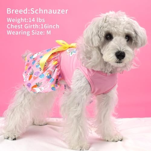 XPUDAC Happy Easter Day Dog Dress for Small Dogs Girl Bunny Eggs Tulle Holiday Puppy Clothes Pet Outfit, Cat Costume -Medium - Image 4