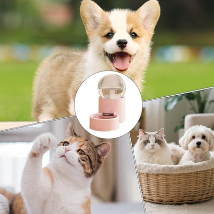 Cat Automatic Feeder Auto Dog Watering Dispenser
